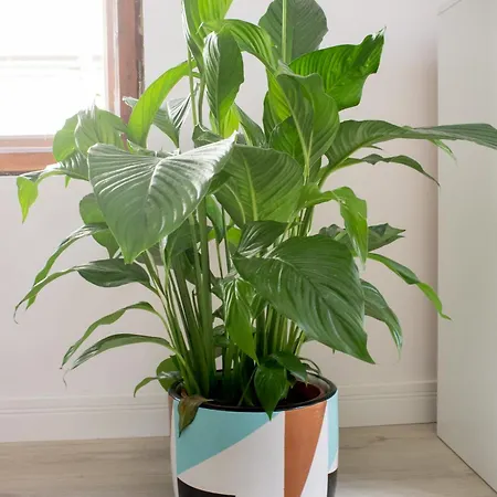 Appartamento Stylowe 3city W Centrum Sopotu By Renters