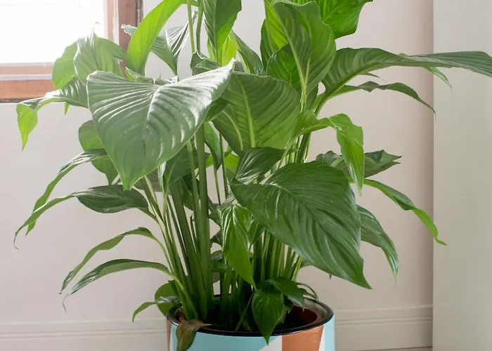 Appartement Stylowe 3city W Centrum Sopotu By Renters